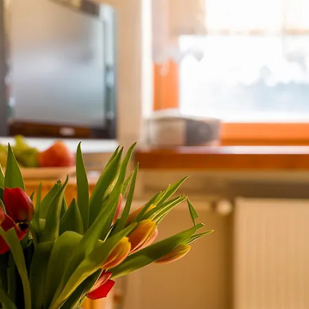 Apartament Pod Bukami Na Bukowej Gorze Appartement