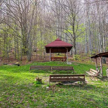 Apartament Pod Bukami Na Bukowej Gorze Appartement *