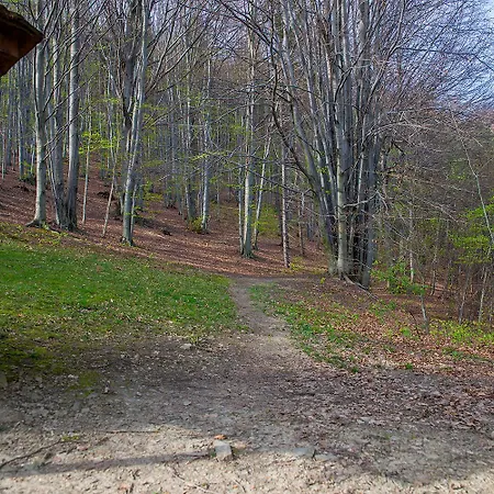 Apartament Pod Bukami Na Bukowej Gorze * Wisła